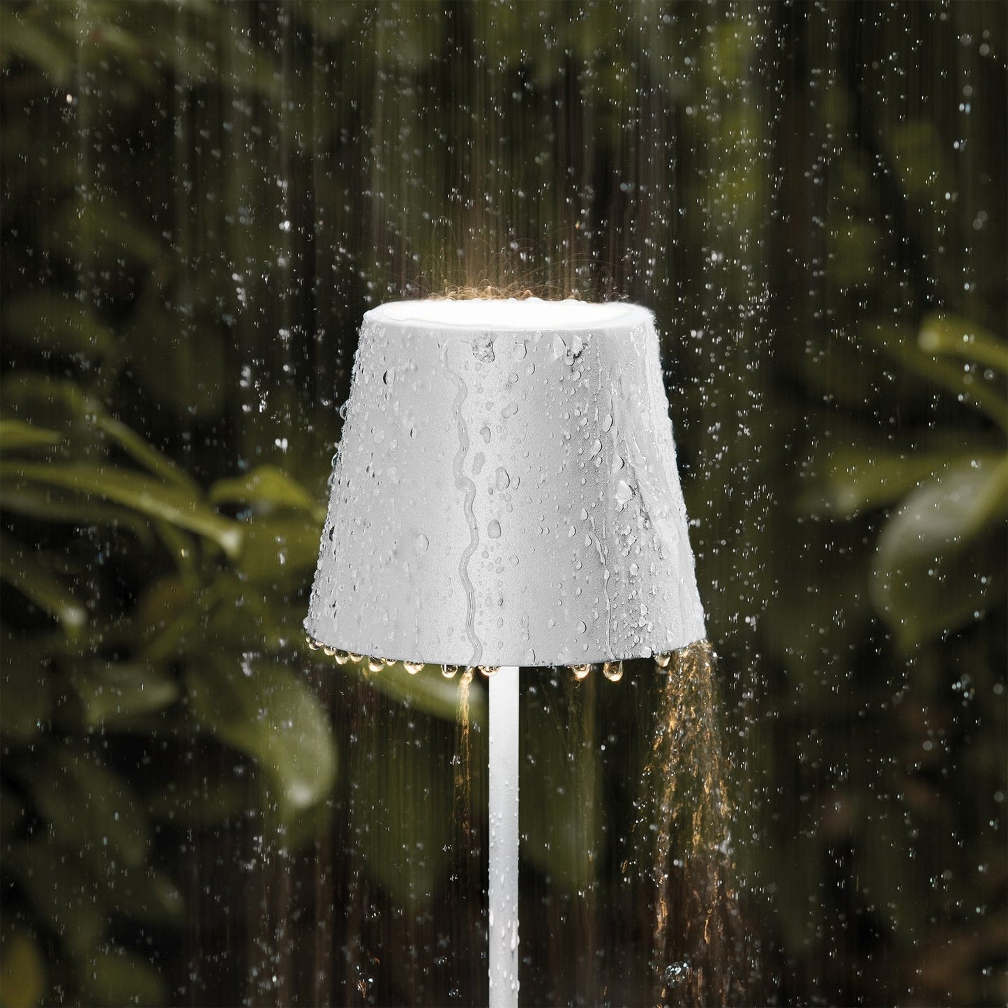 Renzi Table Lamp