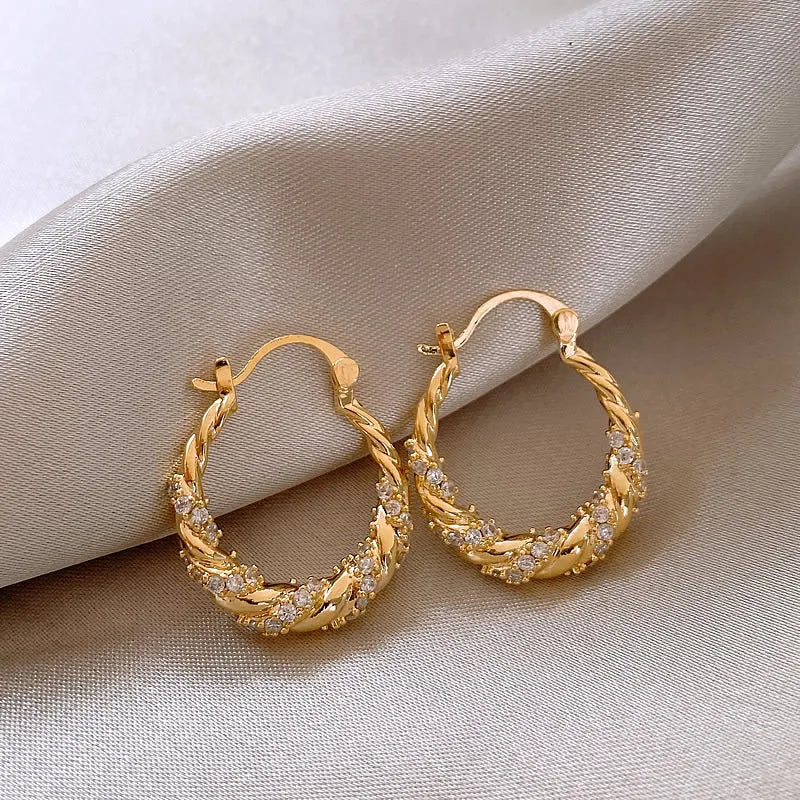 Zircon Winding Earrings