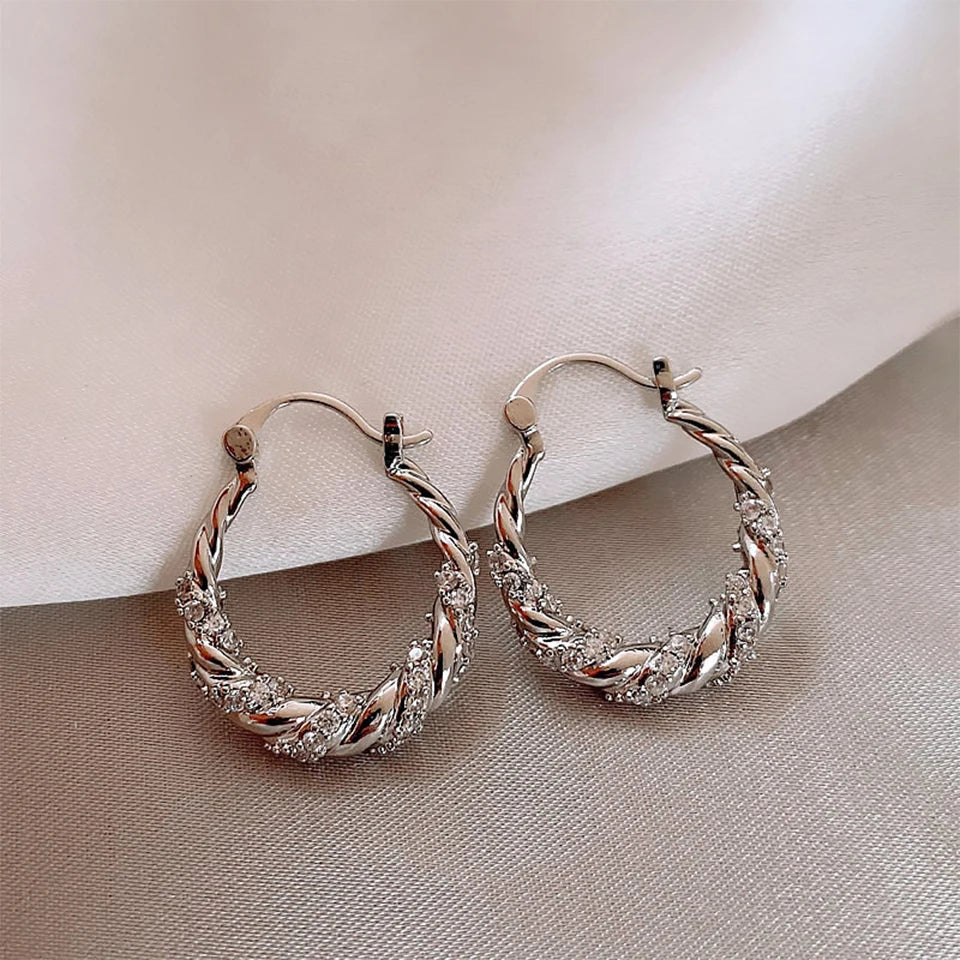 Zircon Winding Earrings